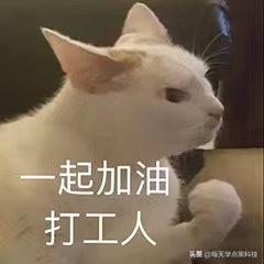 個互聯(lián)網(wǎng)打工人必備網(wǎng)站，熟練掌握起來，升職加薪"