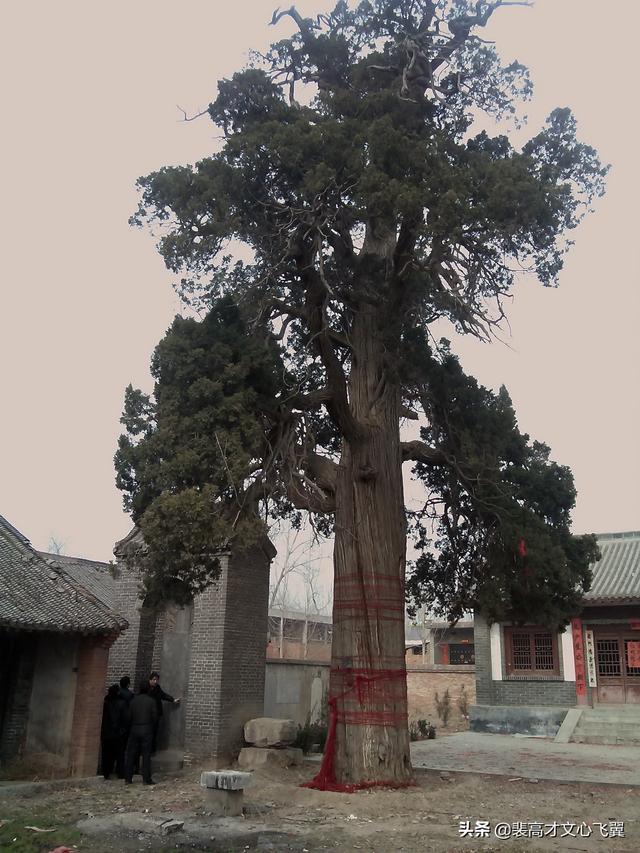 二程書院開學(xué)脈，甘露、望魯并芬芳－裴高才《陳時(shí)》選載