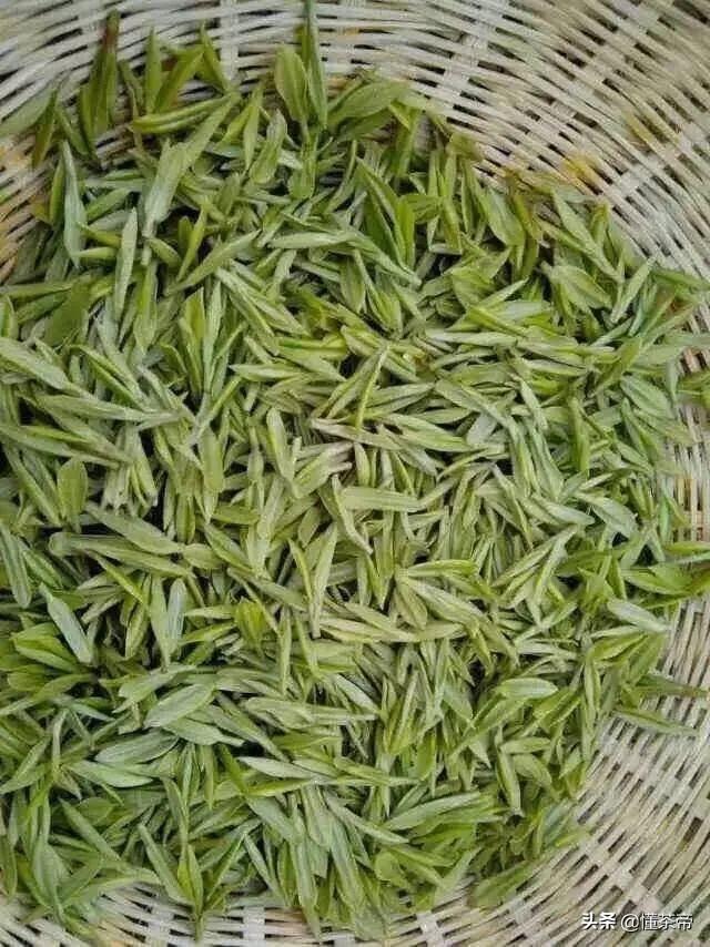 這些“五行缺金”的茶，你都喝過嗎？