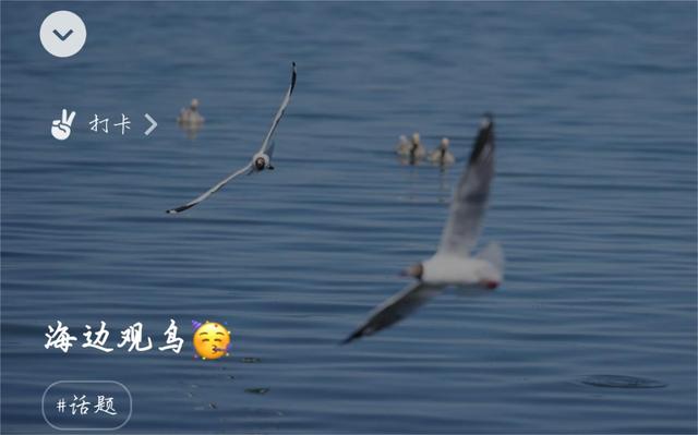 起個(gè)微信名字帶來(lái)好運(yùn)女士微信好運(yùn)的名字女