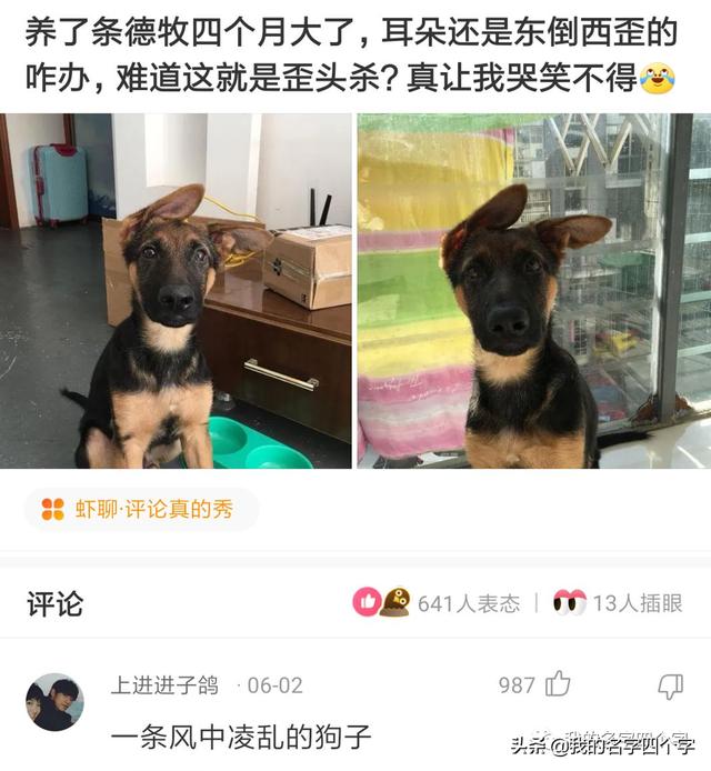 要去日本留學(xué)了，想取個日本名字，聽起來是日本人實際卻是中國人