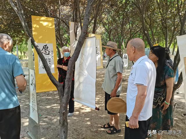 鄭飛院內(nèi)龍鳳和美之處，儷睿人“愿”字書幡隨風(fēng)飄揚(yáng)，金光耀眼