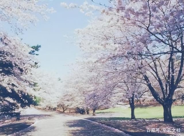 《生查子》男女情愛第一詞牌
