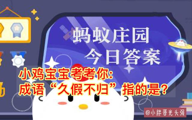 小雞寶寶考考你：成語“久假不歸”指的是什么？螞蟻莊園最新答案