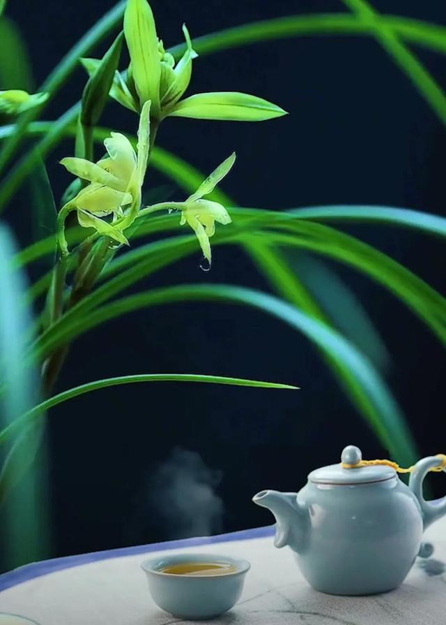 文武之道，一張一弛