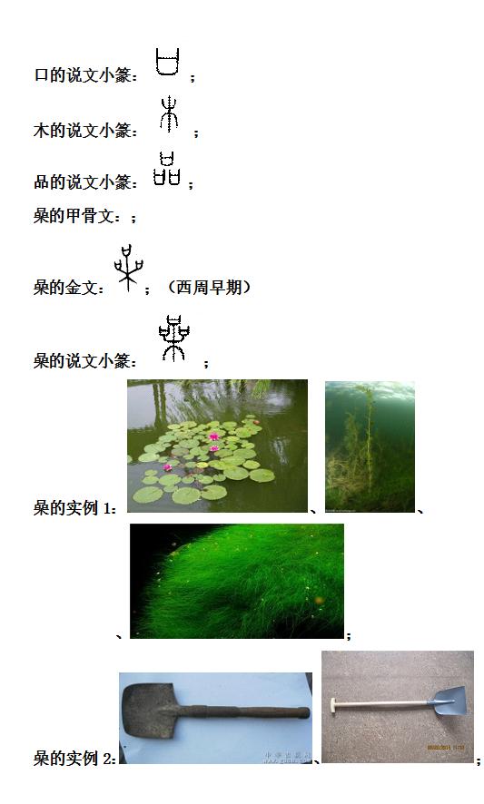 「新說(shuō)文解字」“喿”部（喿、噪、操、躁、澡、藻、燥）
