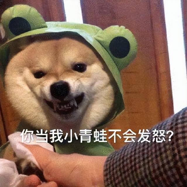 論給狗狗“起名”，我們鏟屎官就沒輸過