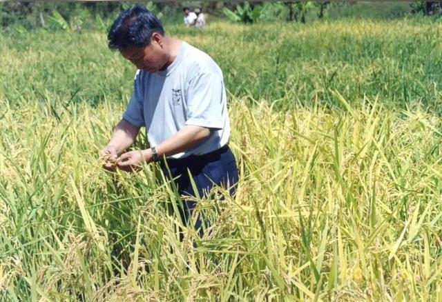 這位福建人的“小小一株草”，何以成為中國驕傲？