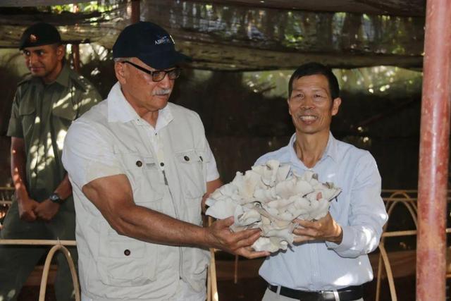 這位福建人的“小小一株草”，何以成為中國驕傲？