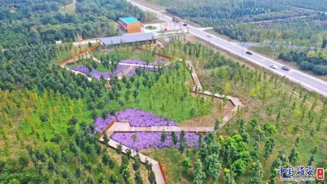 這座未來(lái)的典范城市，“妙”在哪兒？