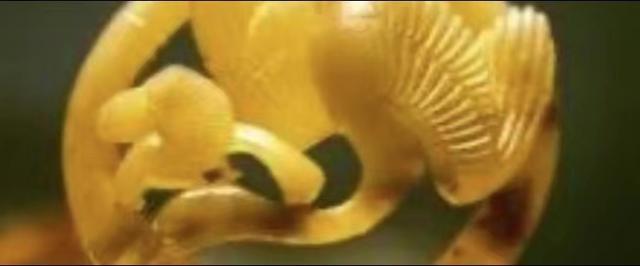 古代玉器鑒定方法知多少？