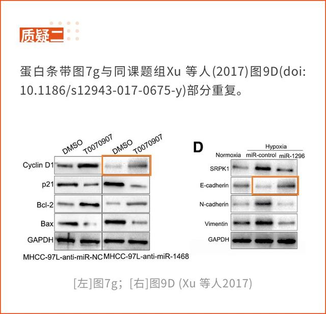 西安交通大學(xué)第一附屬醫(yī)院的高分論文因大量圖片重復(fù)將撤回