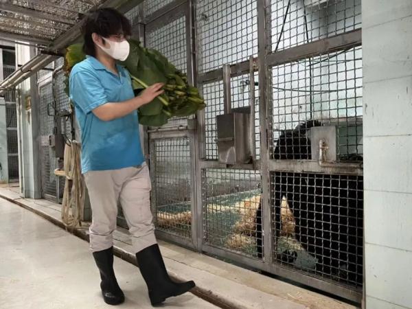 三伏天防毛孩子中暑 上海動(dòng)物園“涼方”大盤點(diǎn)