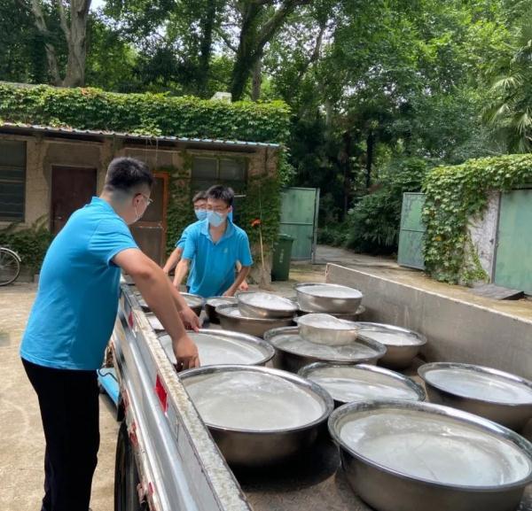三伏天防毛孩子中暑 上海動(dòng)物園“涼方”大盤點(diǎn)