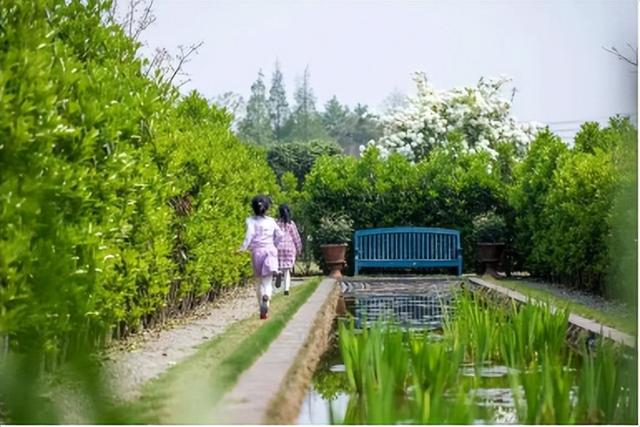創(chuàng)業(yè)13年搬家13次，打造出3000平方米夢幻花園，這個(gè)打工仔憑啥？