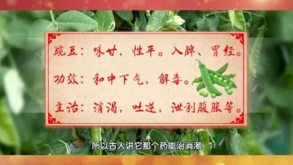 “6月吃豆，賽過(guò)肉”！養(yǎng)生多吃豆，健康又長(zhǎng)壽
