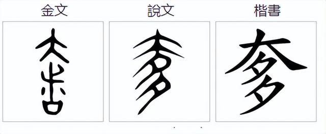 奓怎么讀？奓的讀音和意思