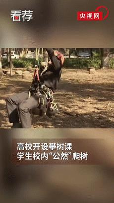 這樣的選修課，就是最強招生簡章吧