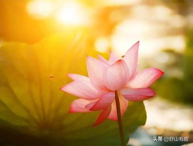 人這一生，到底是富貴命，還是勞碌命，只跟這兩點(diǎn)有關(guān)