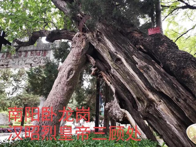 曰"宛"，曰"宛中，隆"，曰"隆中"，曰"南陽"，曰"躬耕于南陽"解密