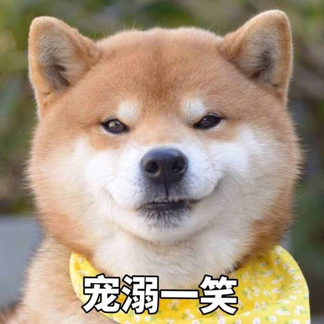 論給狗狗“起名”，我們鏟屎官就沒輸過