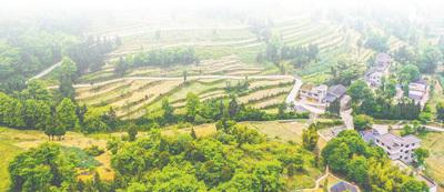 “爭(zhēng)取把竹元村建設(shè)得更好”