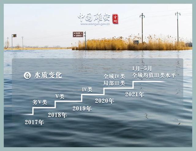 這座未來(lái)的典范城市，“妙”在哪兒？