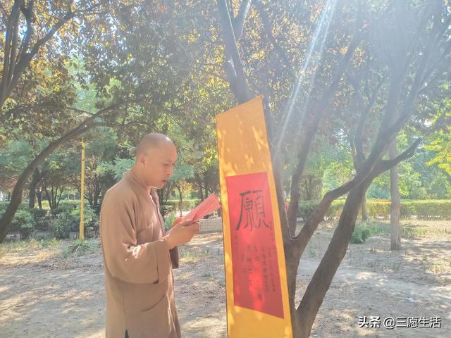 鄭飛院內(nèi)龍鳳和美之處，儷睿人“愿”字書幡隨風(fēng)飄揚(yáng)，金光耀眼