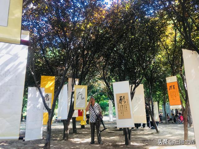 鄭飛院內(nèi)龍鳳和美之處，儷睿人“愿”字書幡隨風(fēng)飄揚(yáng)，金光耀眼