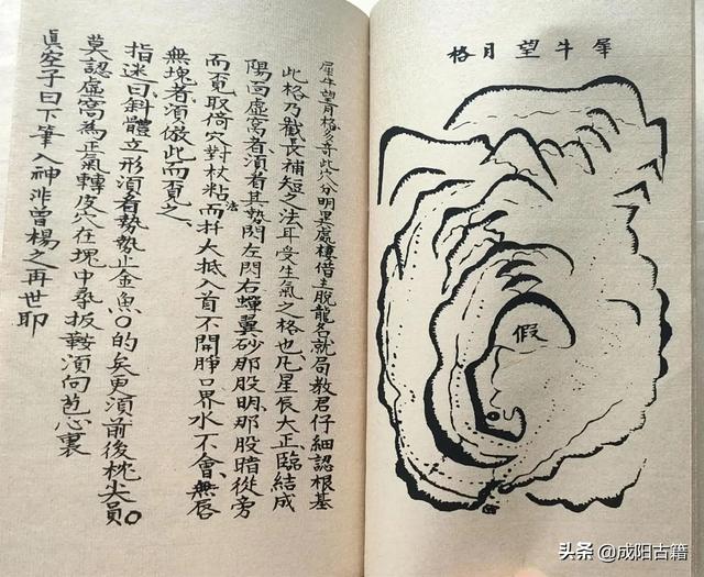 二十四龍入首作穴，九星變體葬法，太極圖說八卦序論等，圖文并茂