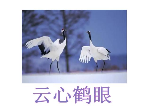 創(chuàng)的成語開頭的成語創(chuàng)的成語開頭有哪些