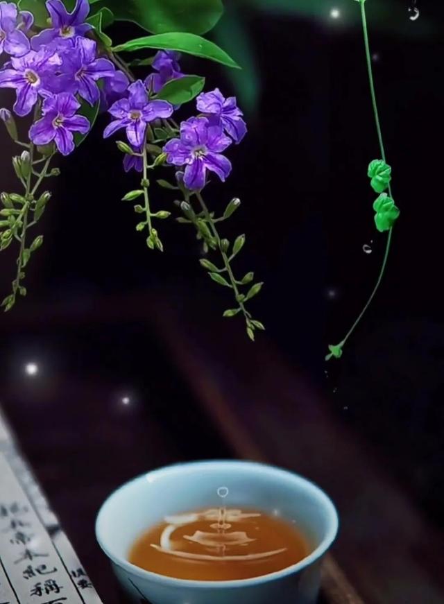 文武之道，一張一弛