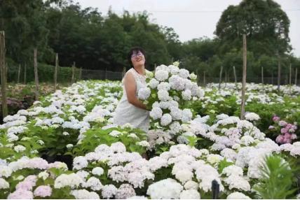 創(chuàng)業(yè)13年搬家13次，打造出3000平方米夢幻花園，這個(gè)打工仔憑啥？