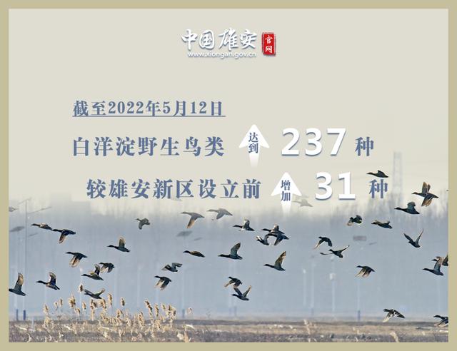 這座未來(lái)的典范城市，“妙”在哪兒？