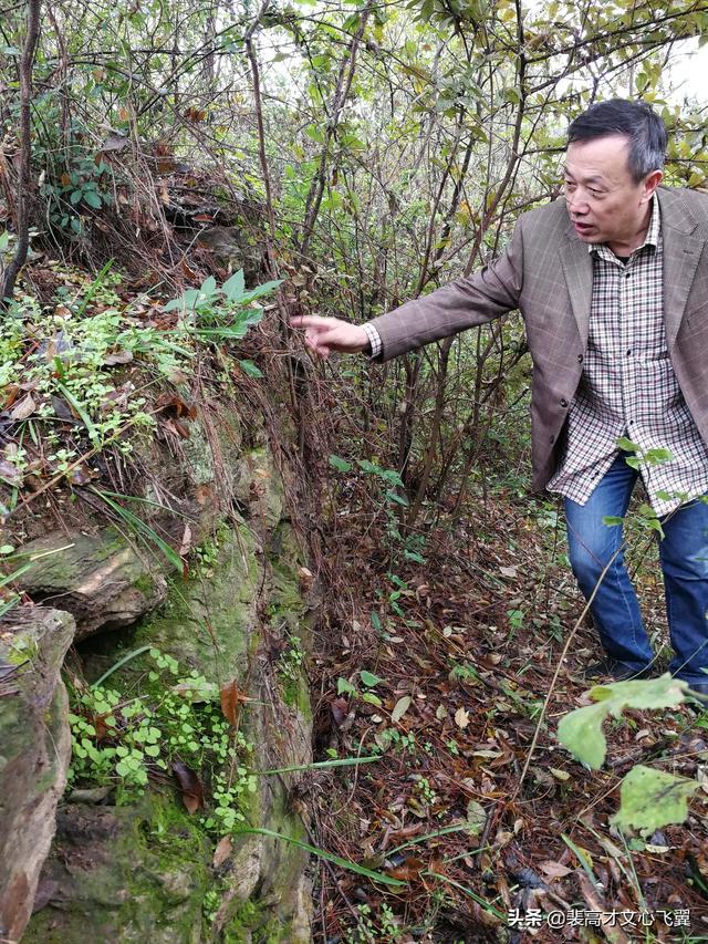 二程書院開學(xué)脈，甘露、望魯并芬芳－裴高才《陳時(shí)》選載