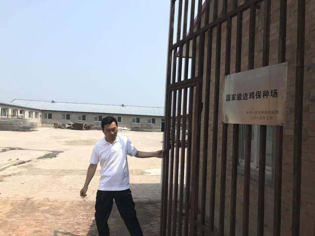 邊雞保種：留給未來的種子