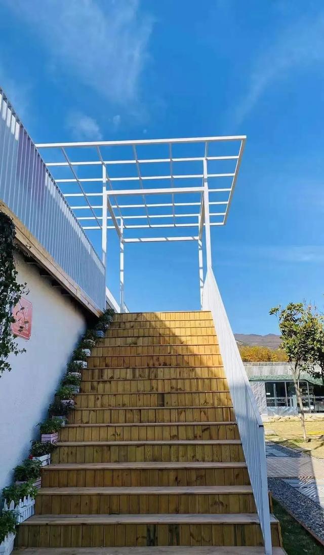 星空、石房、落地窗…來山野里這些高顏值民宿發(fā)呆、打盹、曬太陽！