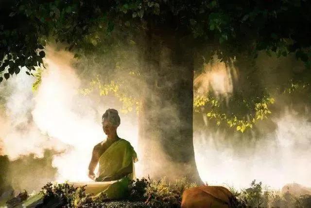 洪荒十大先天本源神樹