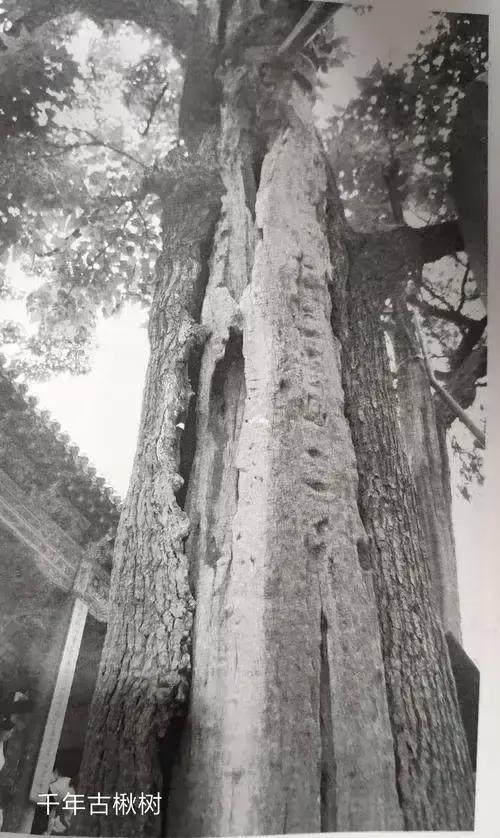 曰"宛"，曰"宛中，隆"，曰"隆中"，曰"南陽"，曰"躬耕于南陽"解密