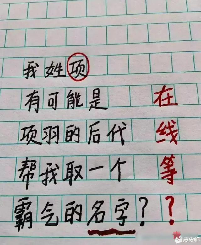 不要在網(wǎng)上問(wèn)取名