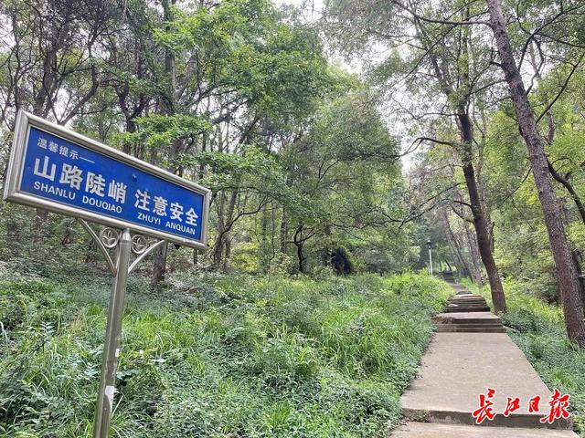 號(hào)稱武漢最野的山，到底有多野？提醒來(lái)了