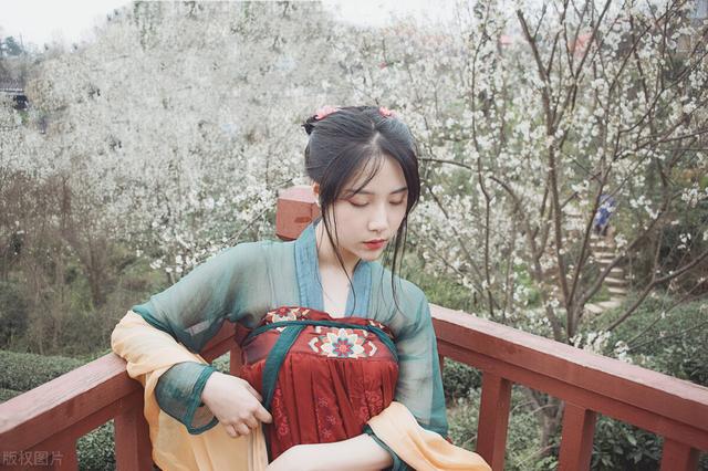 疏影橫斜水清淺，風(fēng)花雪月下的女孩名字