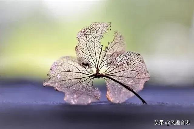 謙謙君子，謙則亨通，為什么只有“謙”卦全是吉