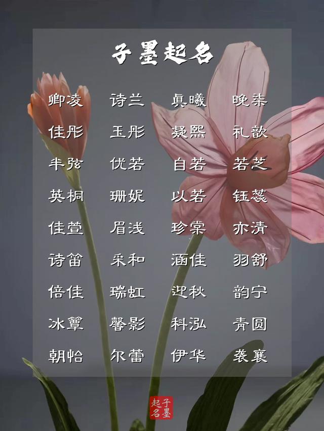 疏影橫斜水清淺，風(fēng)花雪月下的女孩名字