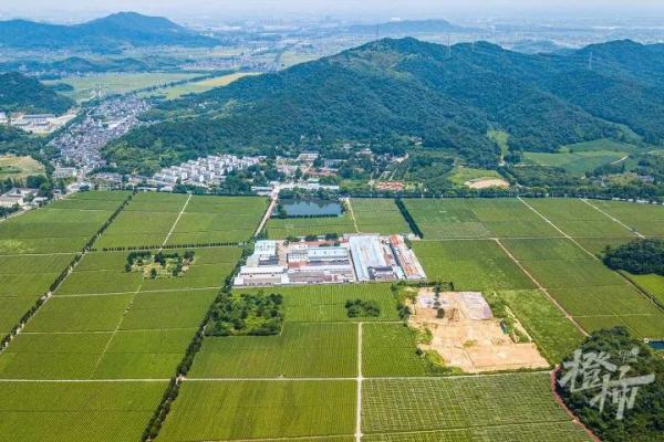 南宋帝陵為何選在紹興？葬了7個皇帝為什么叫“宋六陵”