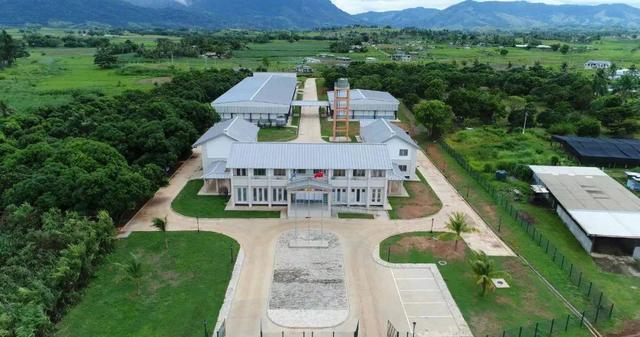 這位福建人的“小小一株草”，何以成為中國驕傲？