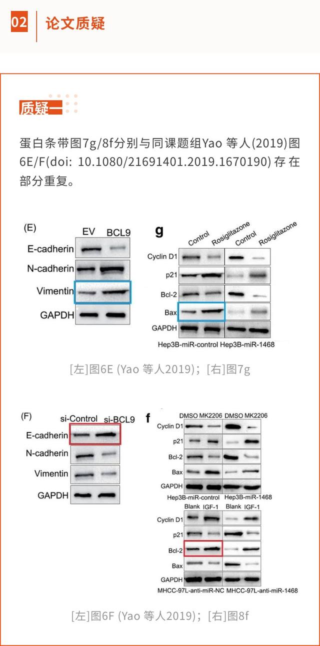 西安交通大學(xué)第一附屬醫(yī)院的高分論文因大量圖片重復(fù)將撤回
