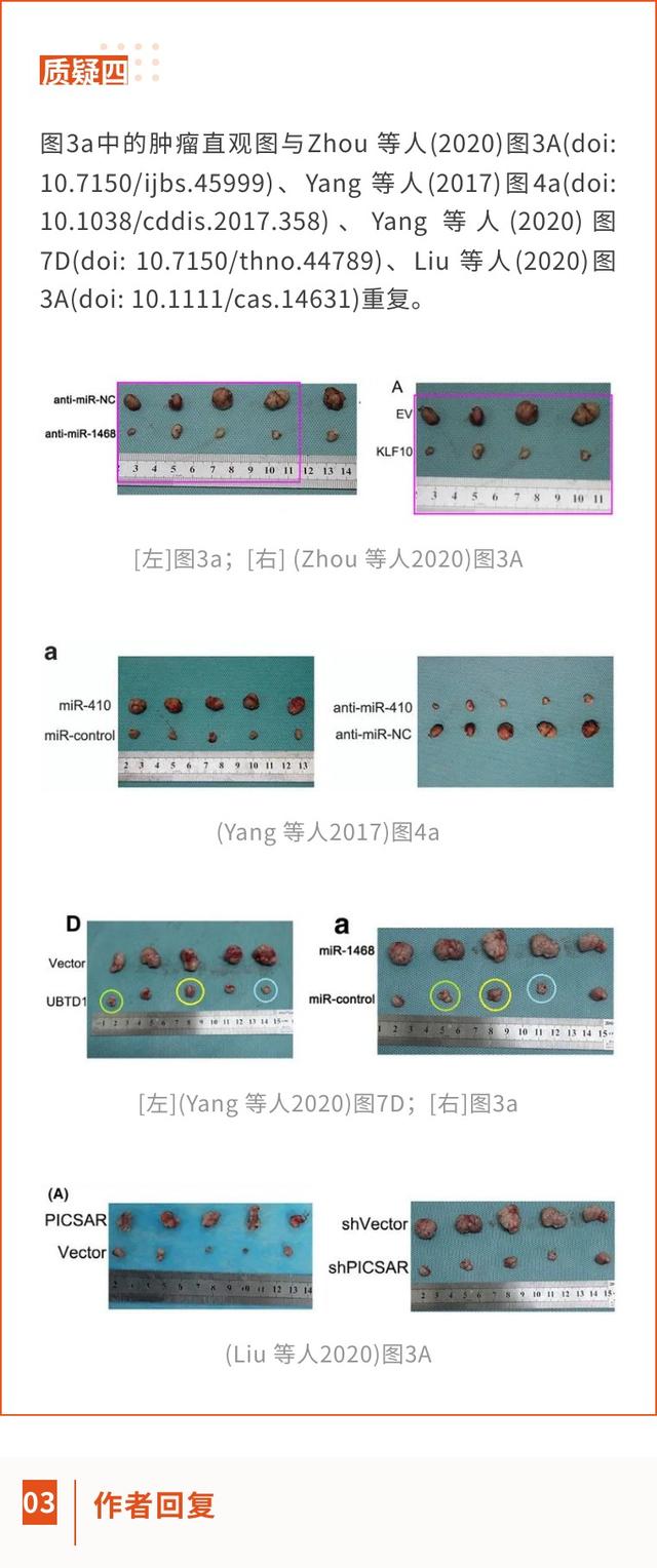 西安交通大學(xué)第一附屬醫(yī)院的高分論文因大量圖片重復(fù)將撤回