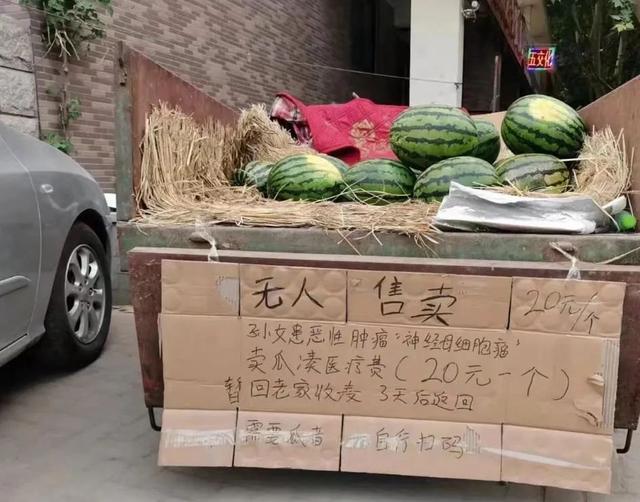 這個無人售賣西瓜攤火了！很多人付錢卻不拿瓜…