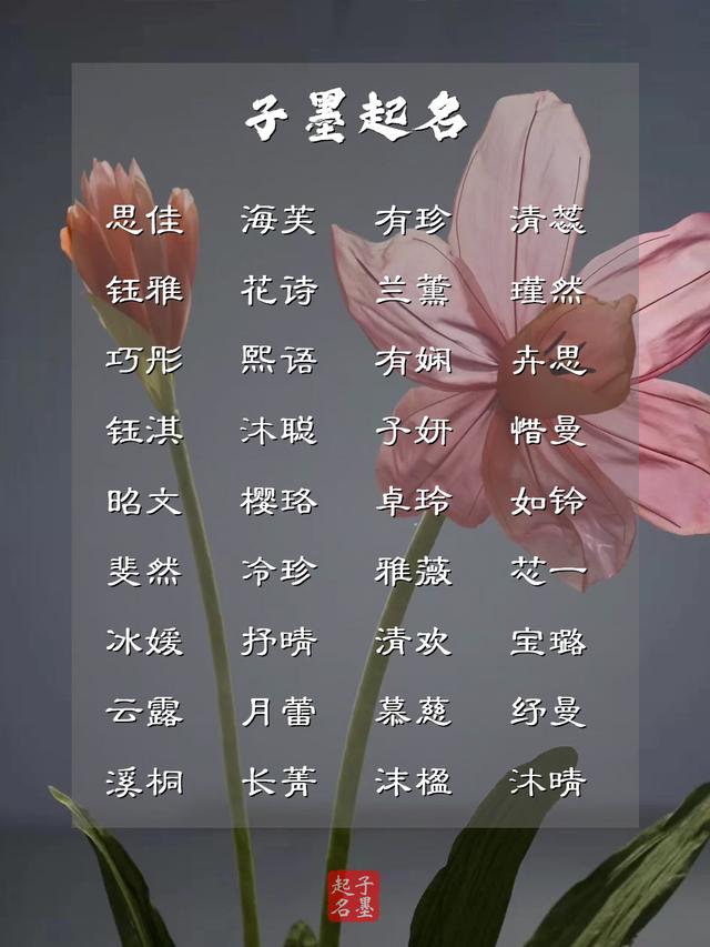疏影橫斜水清淺，風(fēng)花雪月下的女孩名字
